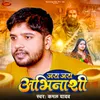 About Jai Jai Abhinashi Song